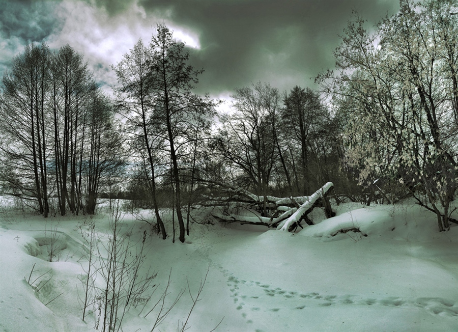 Фото жизнь
