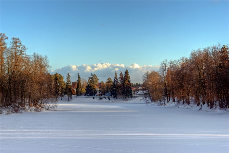 Фото жизнь