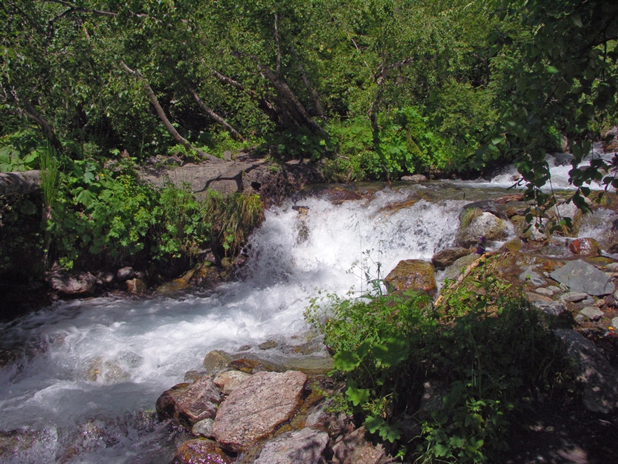 Фото жизнь
