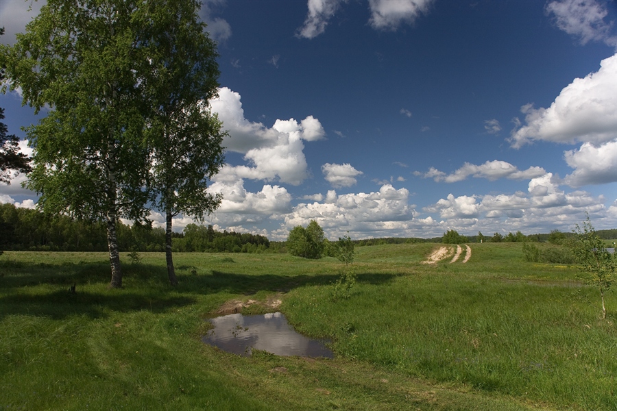 Фото жизнь