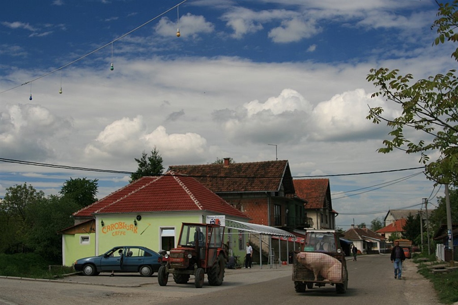 Фото жизнь