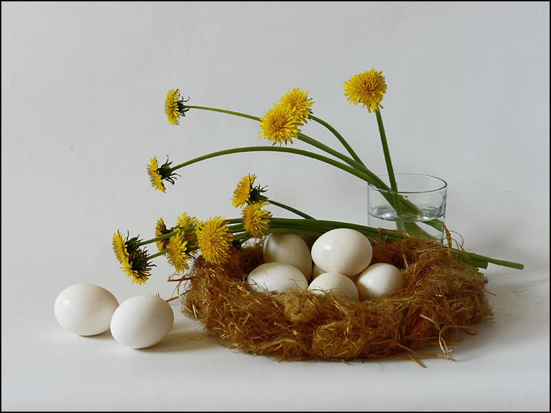 Фото жизнь (light) - Aushra - тихая жизнь (натюрморт) - про яйца и одуванчики