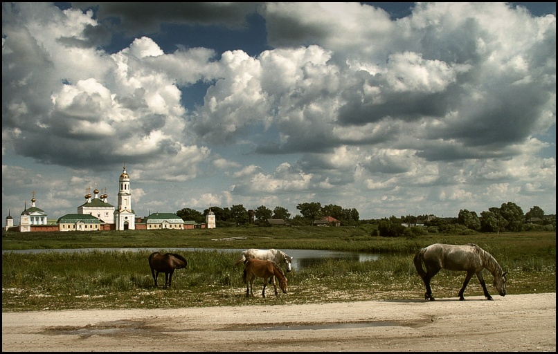 Фото жизнь (light) - Dmitry Polyakov - корневой каталог - ...