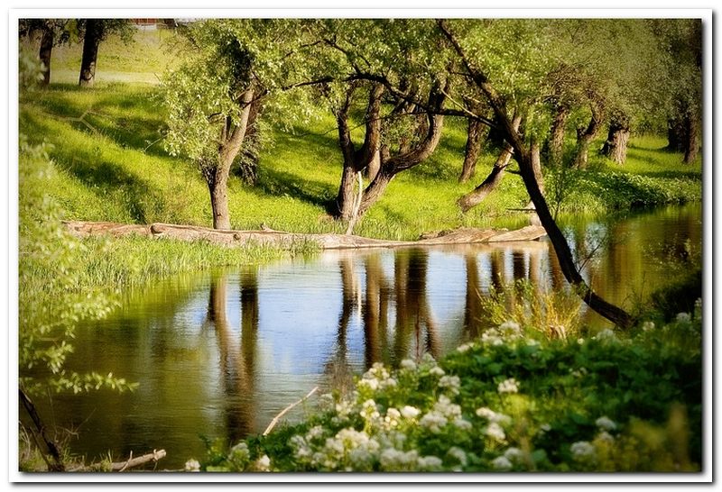 Фото жизнь - Игорь Шахов - корневой каталог - Река весной