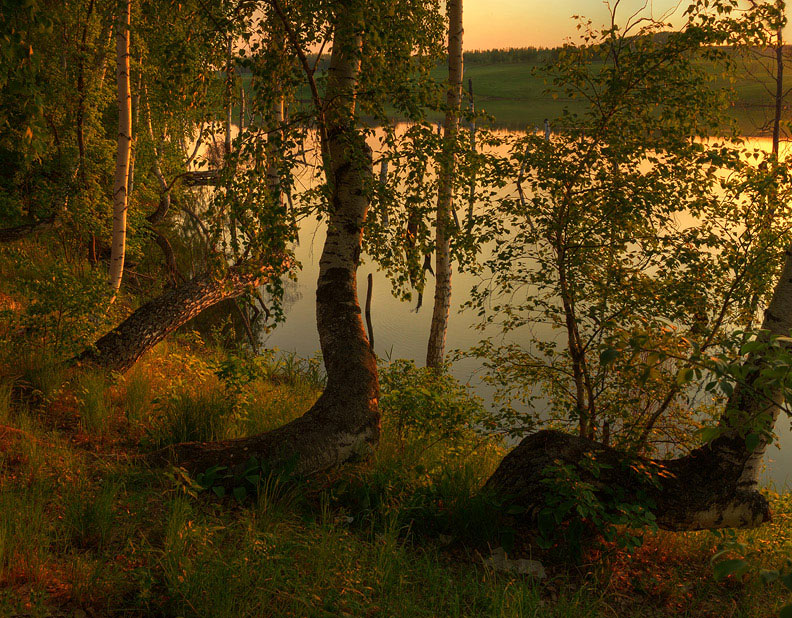 Фото жизнь