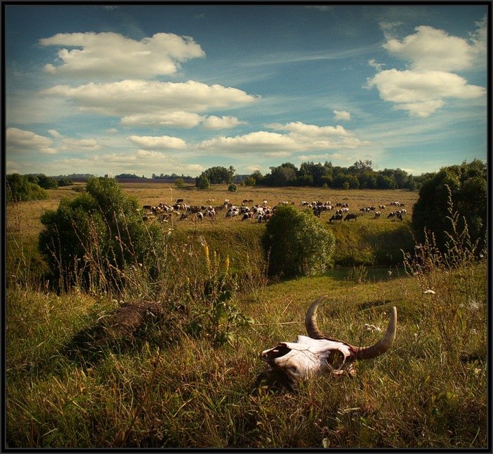 Фото жизнь (light) - Dmitry Polyakov - корневой каталог - ...