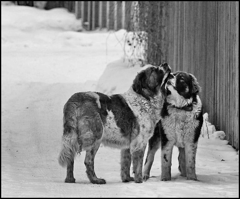 Фото жизнь