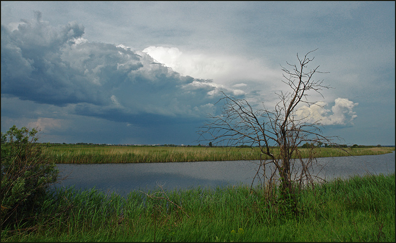 Фото жизнь (light) - Aushra - тихая жизнь (натюрморт) - предгрозье