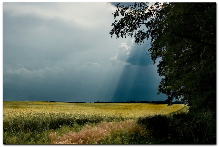Фото жизнь (light) - Игорь Шахов - корневой каталог - Перед дождем