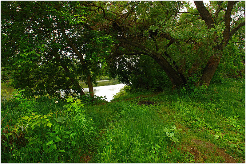 Фото жизнь (light) - Aushra - тихая жизнь (натюрморт) - путь к реке