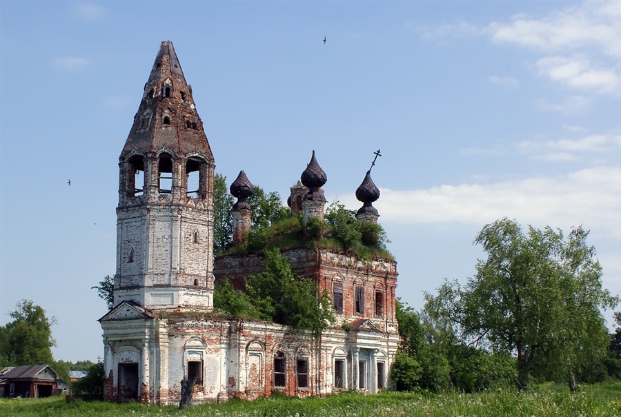 Фото жизнь