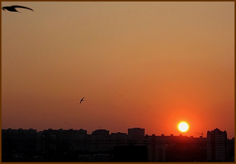 Фото жизнь (light) - Alfiya - мой город... - ..закат над городом...
