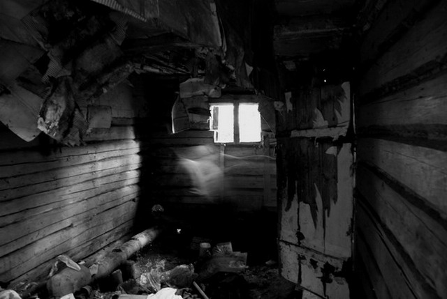 Фото жизнь (light) - Slaura - Фотоохота - Дух одиночества