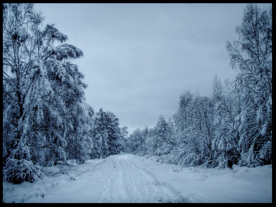 Фото жизнь