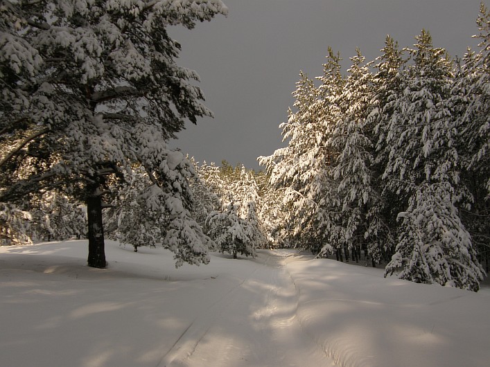 Фото жизнь (light) - Chel - Пейзаж + природа - Как в сказке...