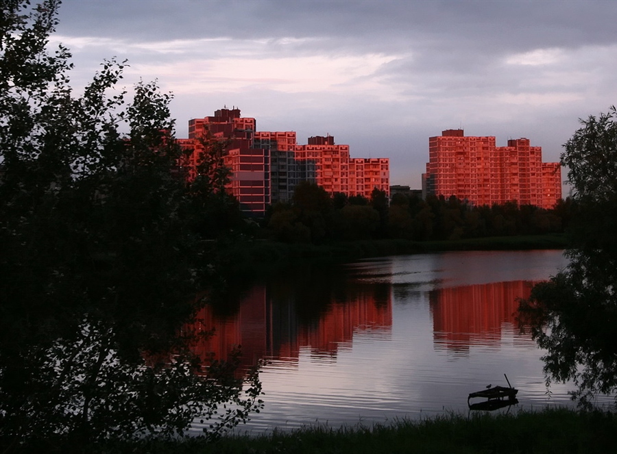 Фото жизнь