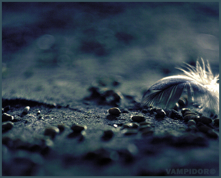 Фото жизнь (light) - Anahit - Зеленокумск - в сарае на полу