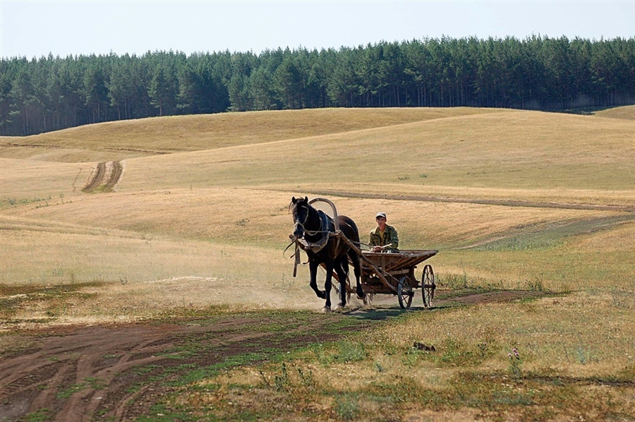 Фото жизнь