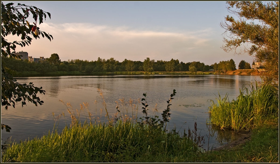 Фото жизнь