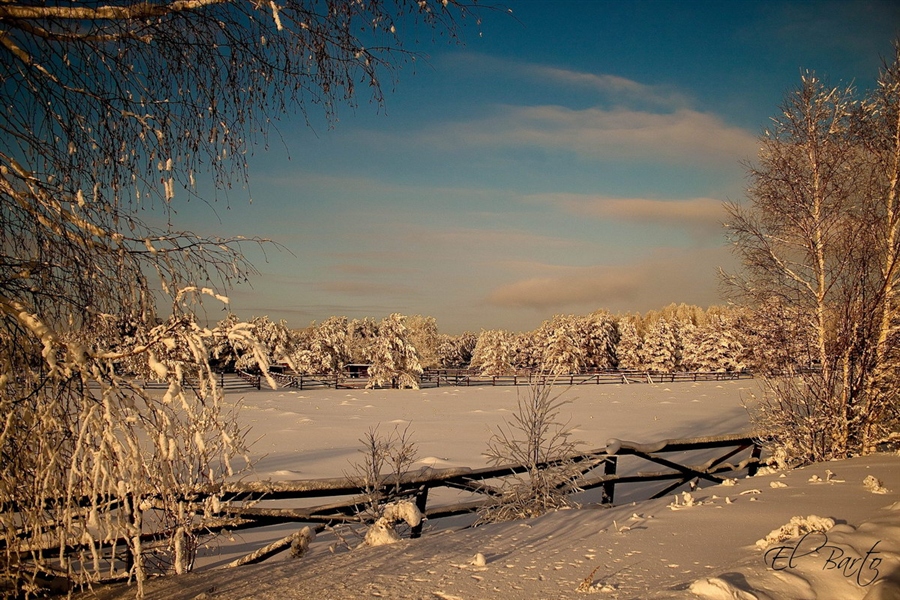 Фото жизнь