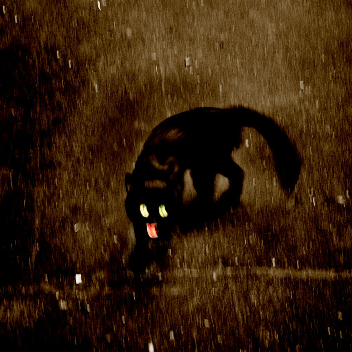 Фото жизнь (light) - incolorwetrust - в настроении - devil in disguise