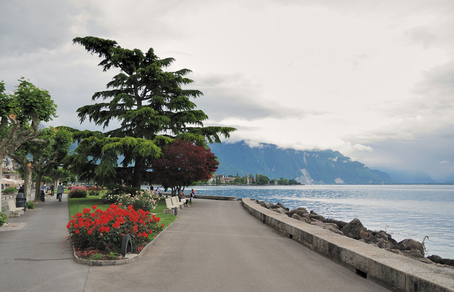 Фото жизнь (light) - Siam - Швейцария - Под знаком вопроса