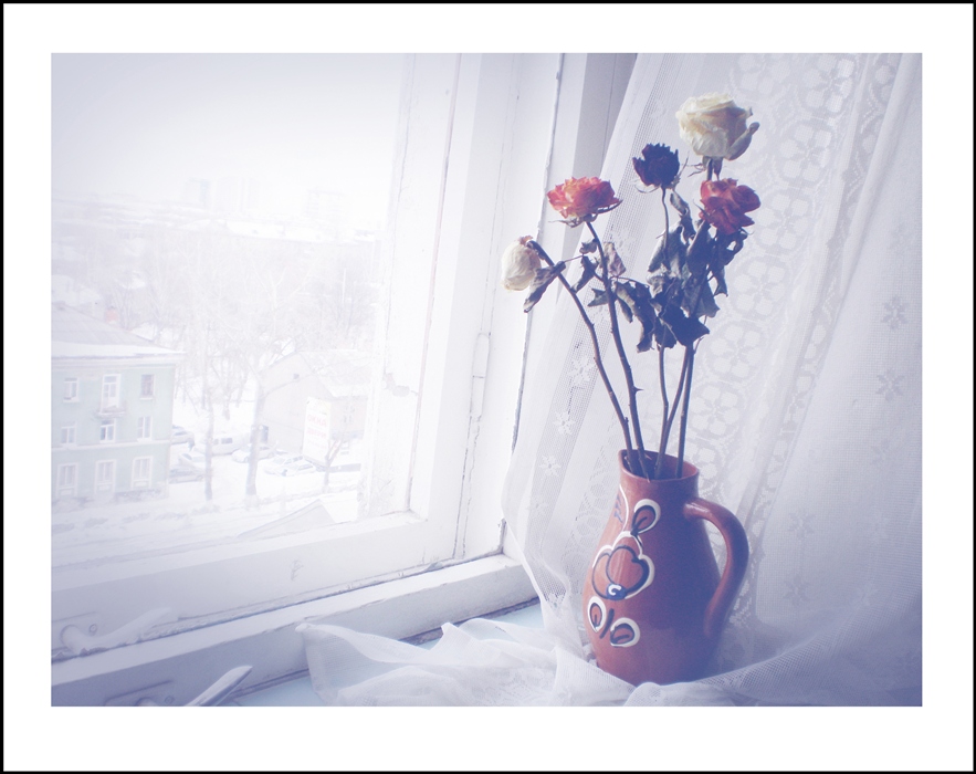 Фото жизнь
