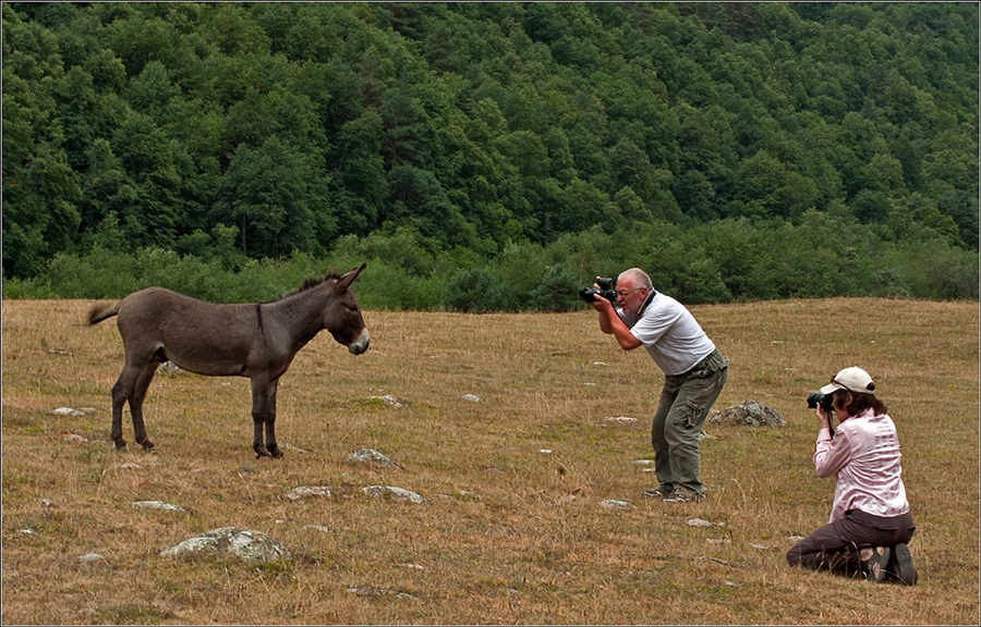 Фото жизнь