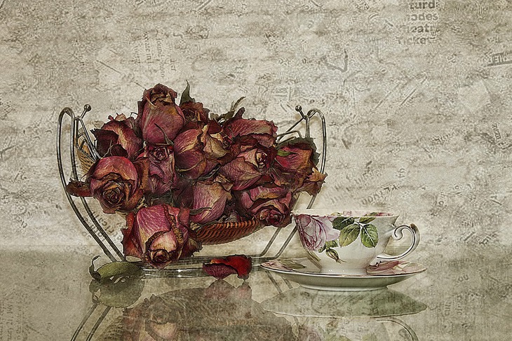 Фото жизнь (light) - Lilliya - корневой каталог - с лепестками роз