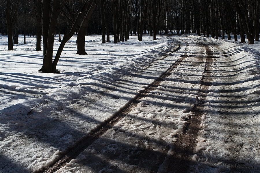 Фото жизнь
