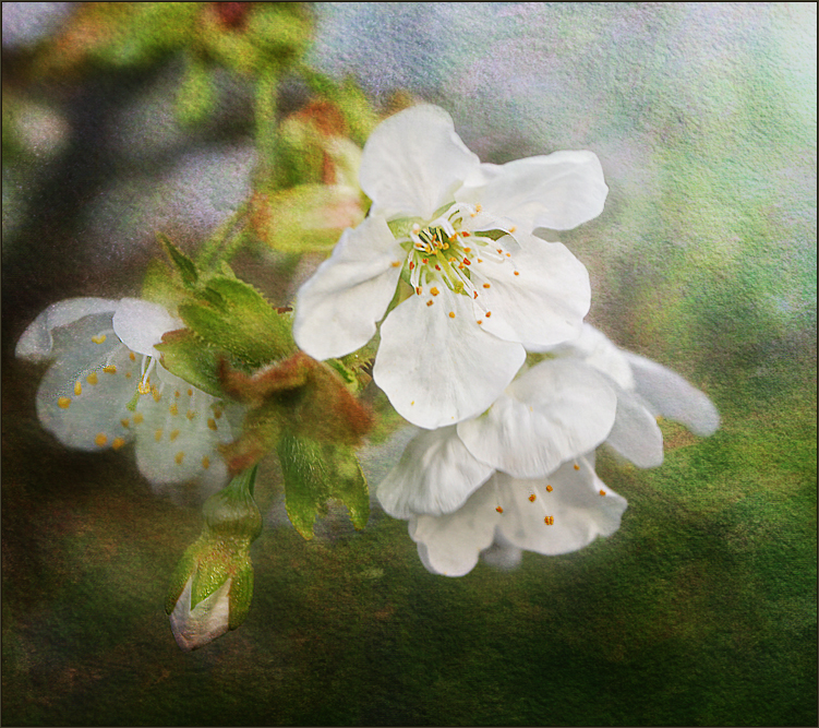 Фото жизнь (light) - Julia ART - Landscapes - Весны привет