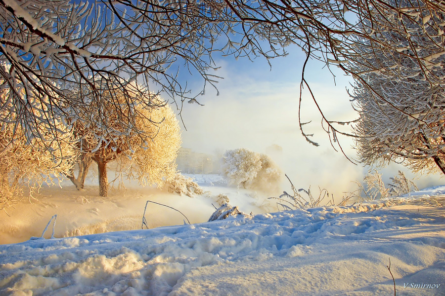 Фото жизнь