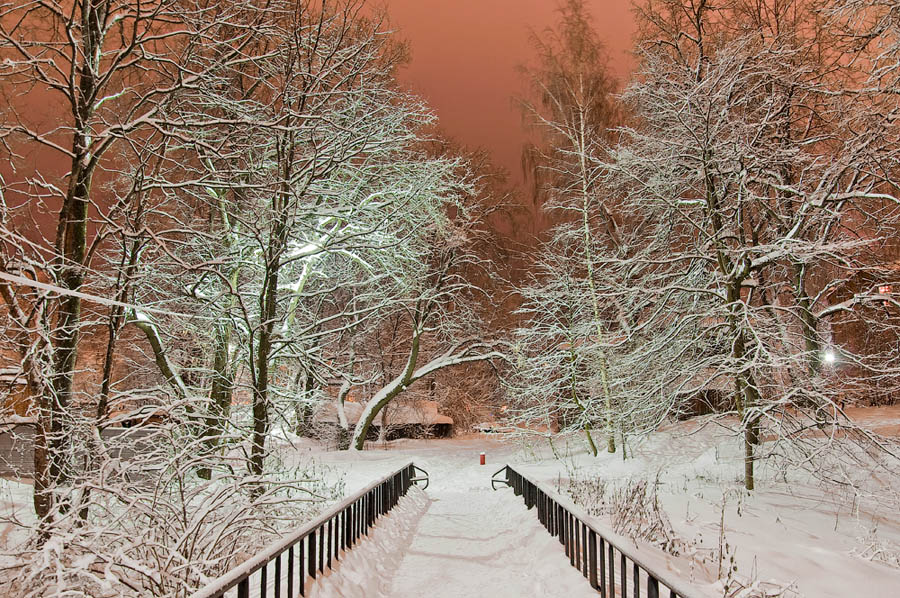 Фото жизнь (light) - Pastor - Зима - Ночная прогулка