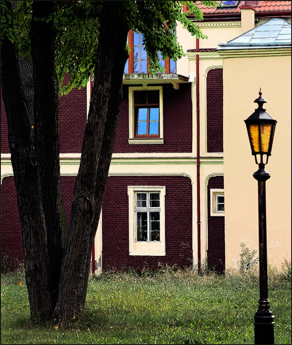 Фото жизнь