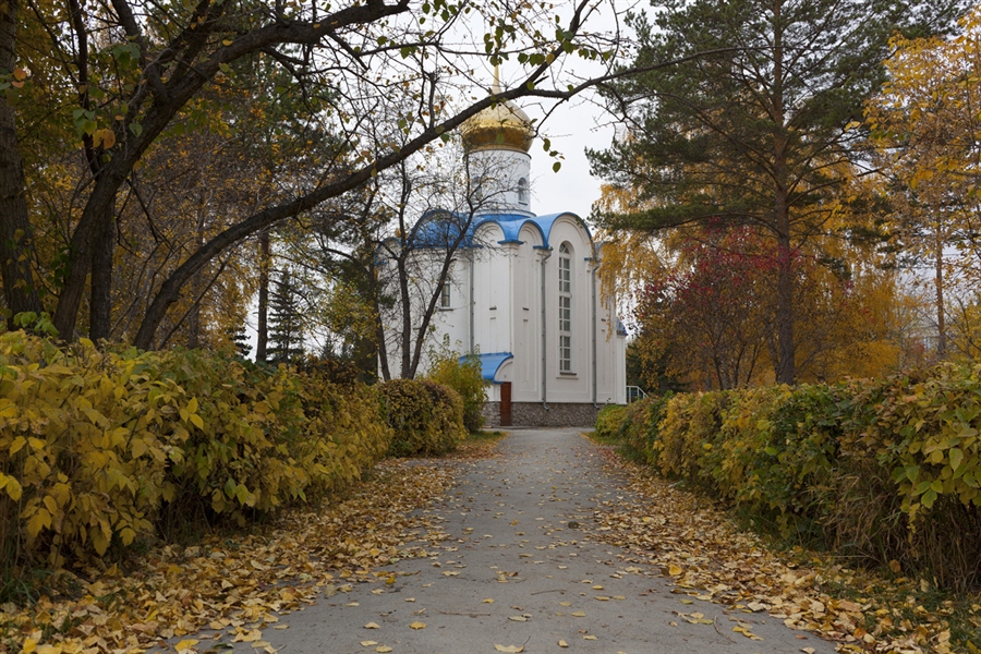 Фото жизнь