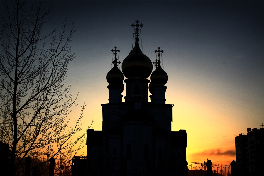 Фото жизнь