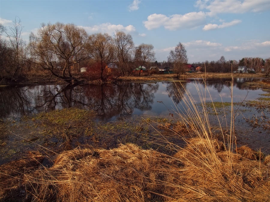 Фото жизнь