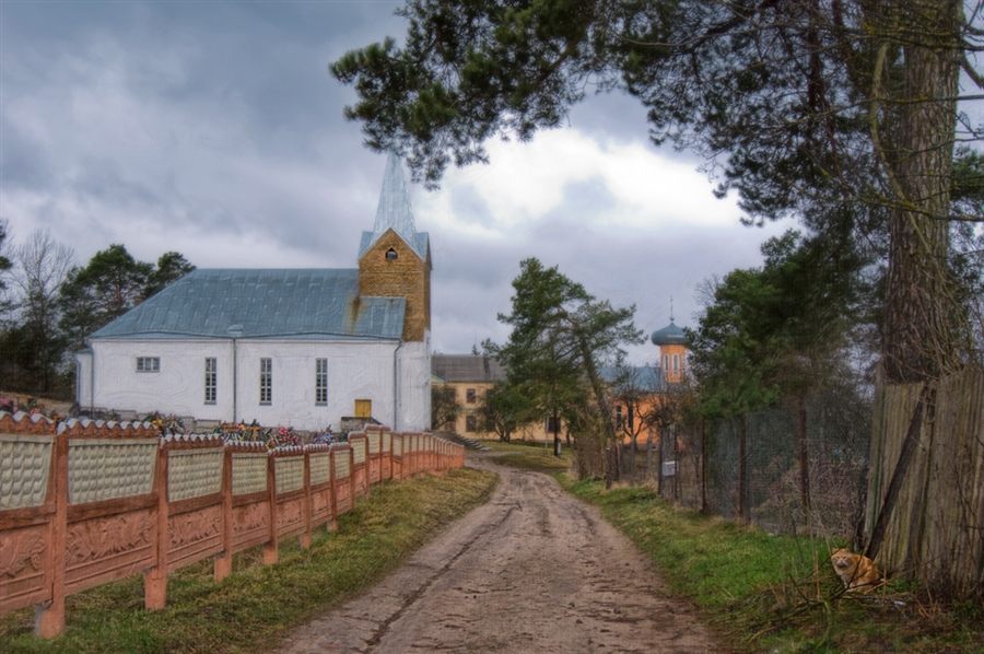 Фото жизнь