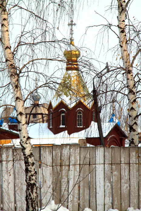Фото жизнь
