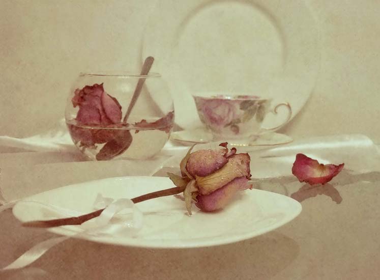 Фото жизнь (light) - Lilliya - корневой каталог - розовый десерт....
