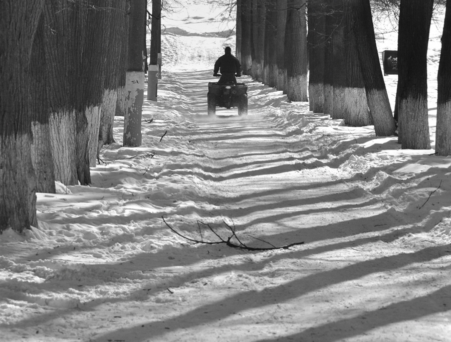 Фото жизнь