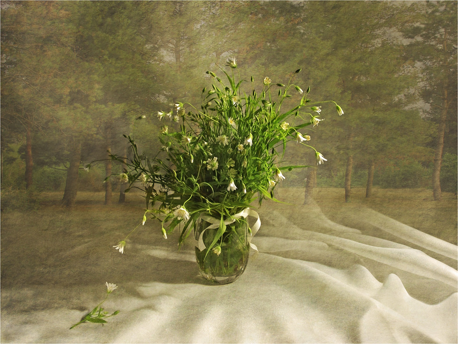 Фото жизнь (light) - Елена Завитаева - Натюрморты с цветами - Заглянуть в лето