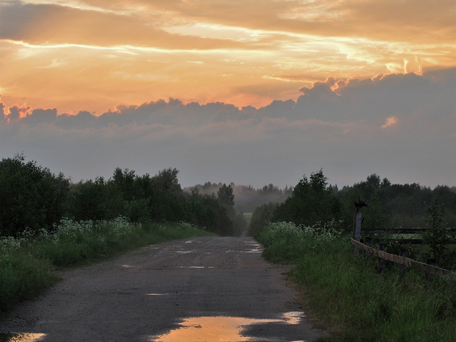 Фото жизнь