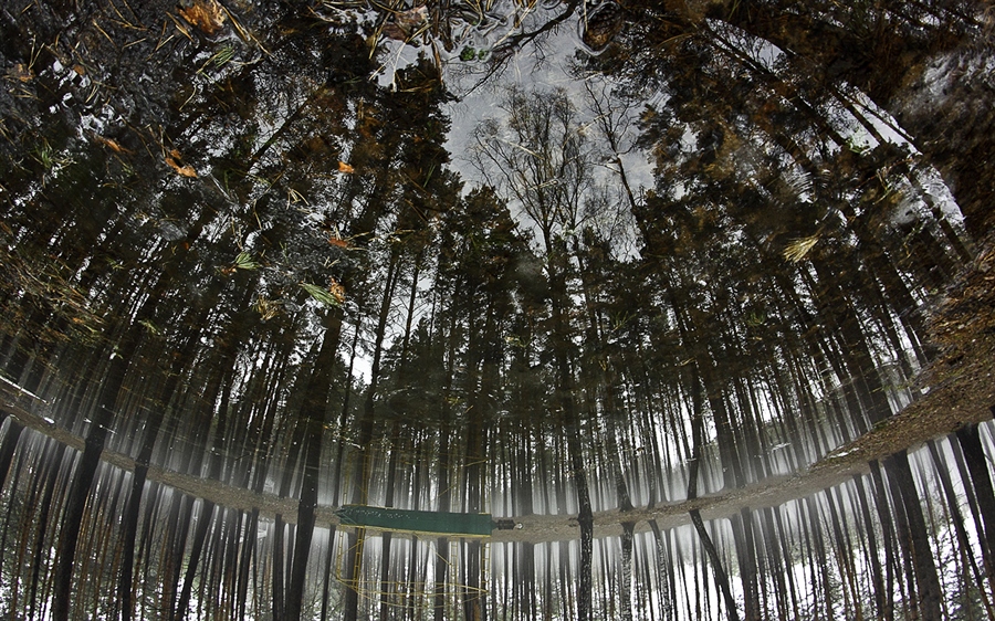 Фото жизнь