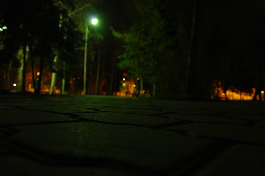 Фото жизнь
