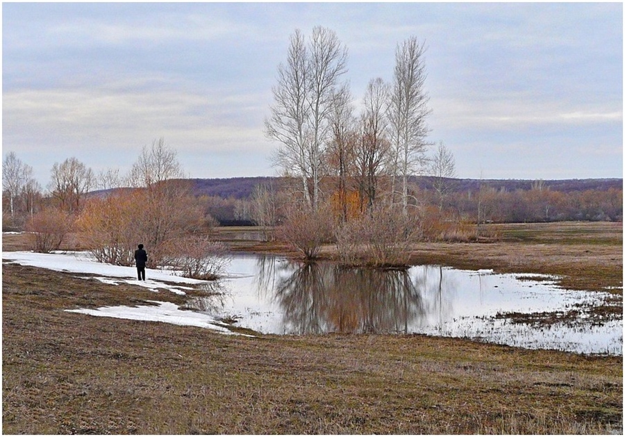 Фото жизнь