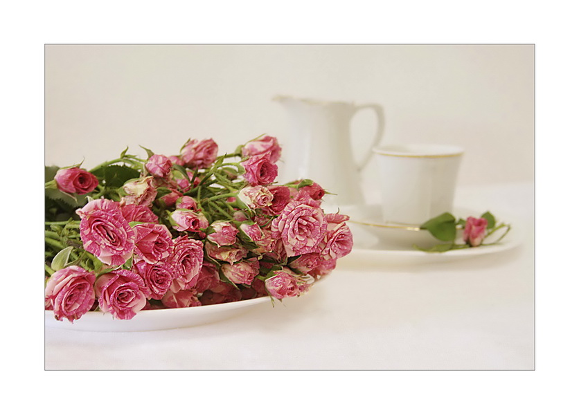 Фото жизнь (light) - Lilliya - корневой каталог - with roses ...