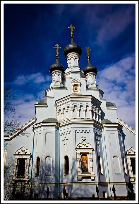 Фото жизнь