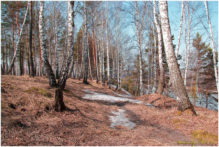 Фото жизнь