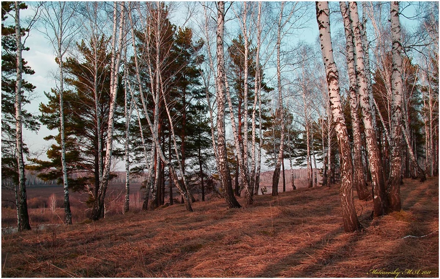 Фото жизнь